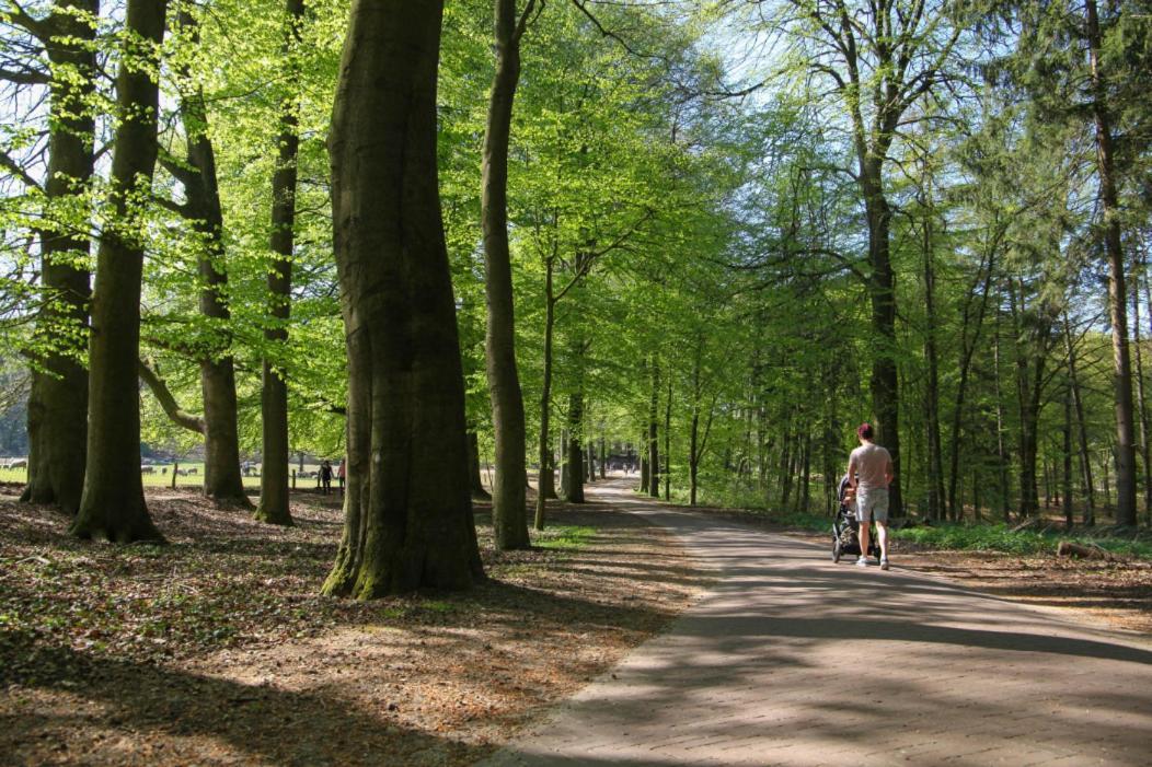 B&B Freydag Rheden Kültér fotó