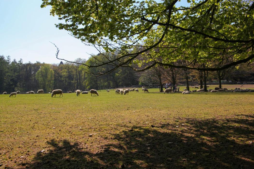 B&B Freydag Rheden Kültér fotó